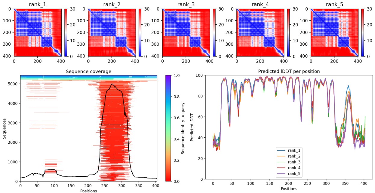 AGER protein structure analysis project