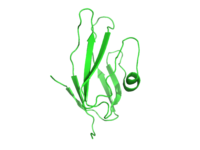 AGER protein structure rendered in PyMOL