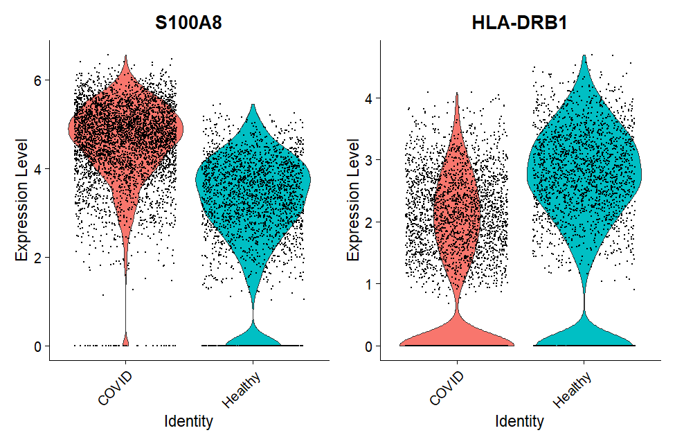 Violin plots comparing monocyte gene expression between COVID-19 and healthy samples